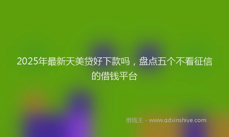 2025年最新天美贷好下款吗，盘点五个不看征信的借钱平台