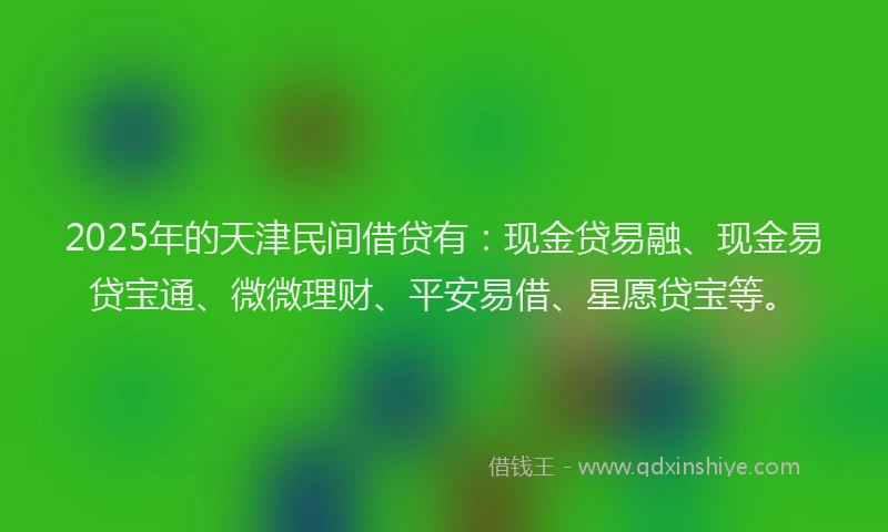 2025年的天津民间借贷有：现金贷易融、现金易贷宝通、微微理财、平安易借、星愿贷宝等。