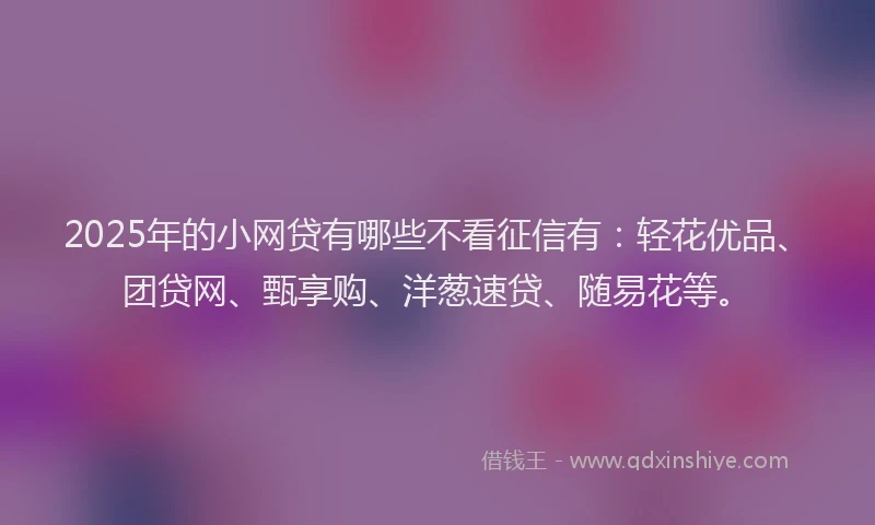 2025年的小网贷有哪些不看征信有：轻花优品、团贷网、甄享购、洋葱速贷、随易花等。
