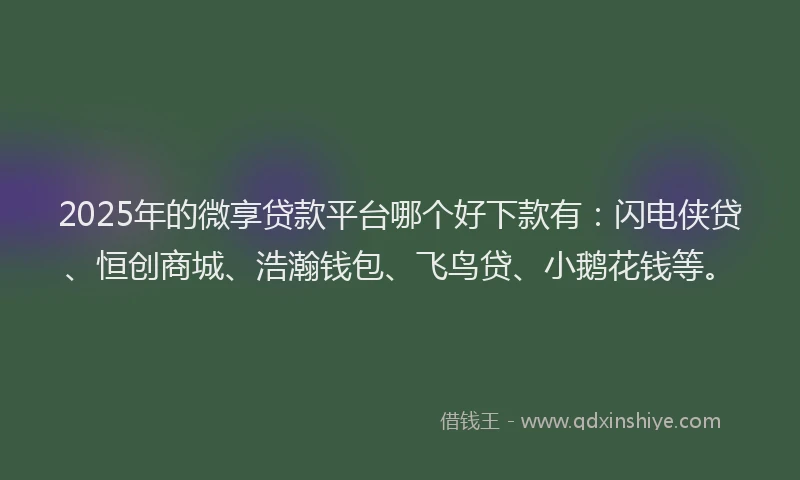 2025年的微享贷款平台哪个好下款有：闪电侠贷、恒创商城、浩瀚钱包、飞鸟贷、小鹅花钱等。