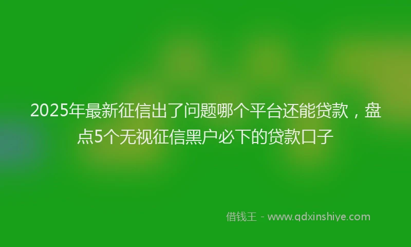 2025年最新征信出了问题哪个平台还能贷款，盘点5个无视征信黑户必下的贷款口子