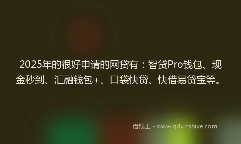 2025年的很好申请的网贷有：智贷Pro钱包、现金秒到、汇融钱包+、口袋快贷、快借易贷宝等。