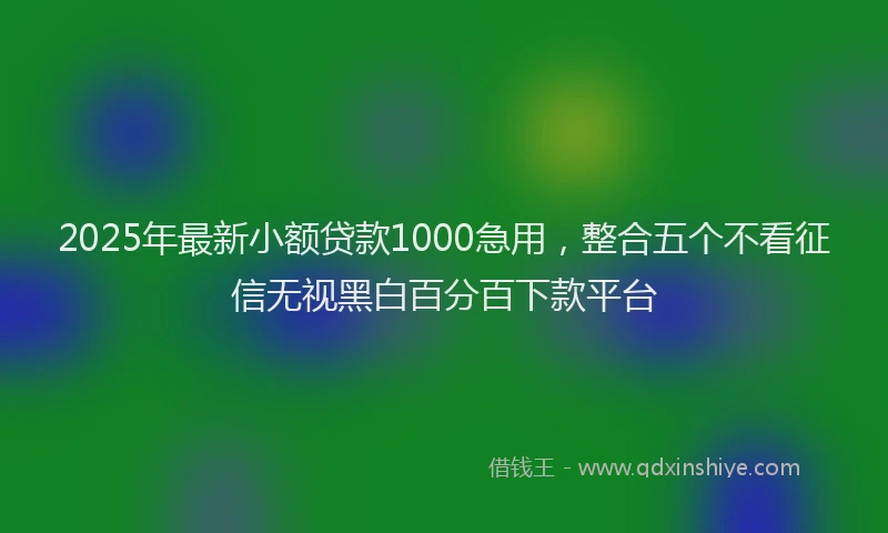 2025年最新小额贷款1000急用，整合五个不看征信无视黑白百分百下款平台