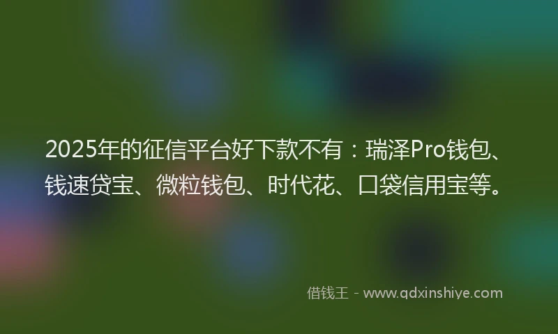 2025年的征信平台好下款不有：瑞泽Pro钱包、钱速贷宝、微粒钱包、时代花、口袋信用宝等。