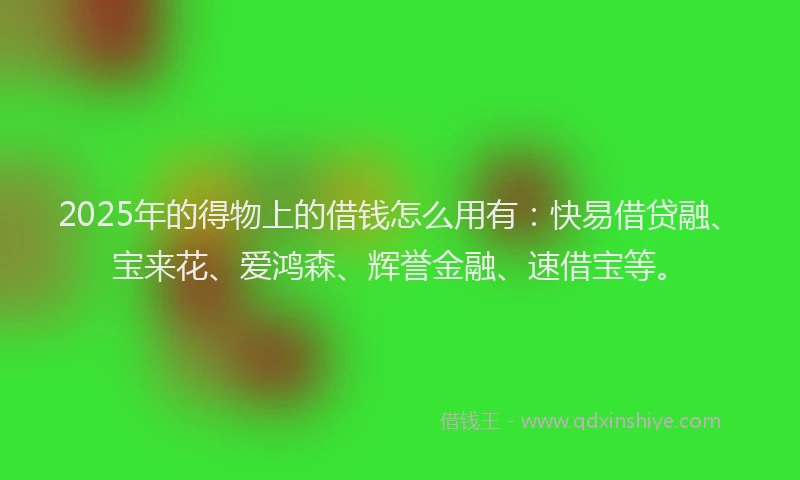 2025年的得物上的借钱怎么用有：快易借贷融、宝来花、爱鸿森、辉誉金融、速借宝等。