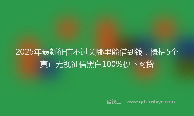 2025年最新征信不过关哪里能借到钱，概括5个真正无视征信黑白100%秒下网贷
