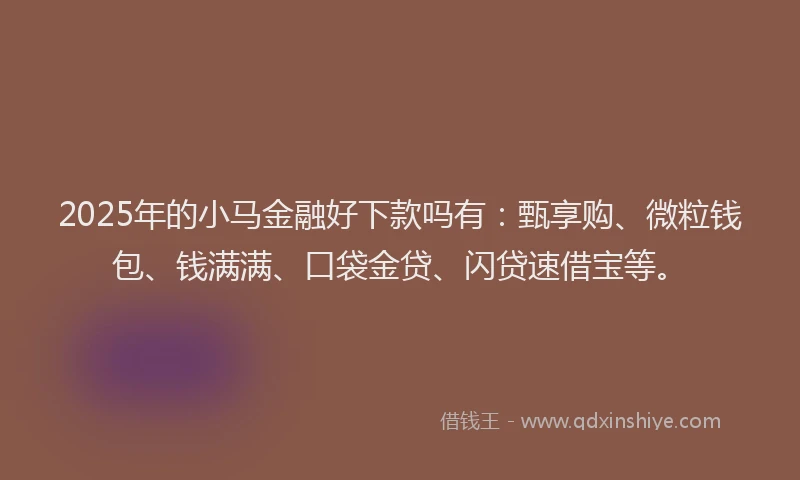 2025年的小马金融好下款吗有：甄享购、微粒钱包、钱满满、口袋金贷、闪贷速借宝等。