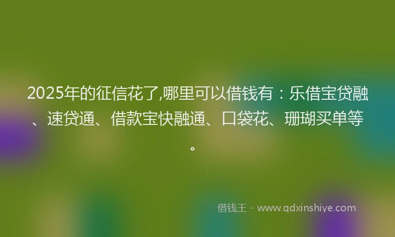 2025年的征信花了,哪里可以借钱有：乐借宝贷融、速贷通、借款宝快融通、口袋花、珊瑚买单等。
