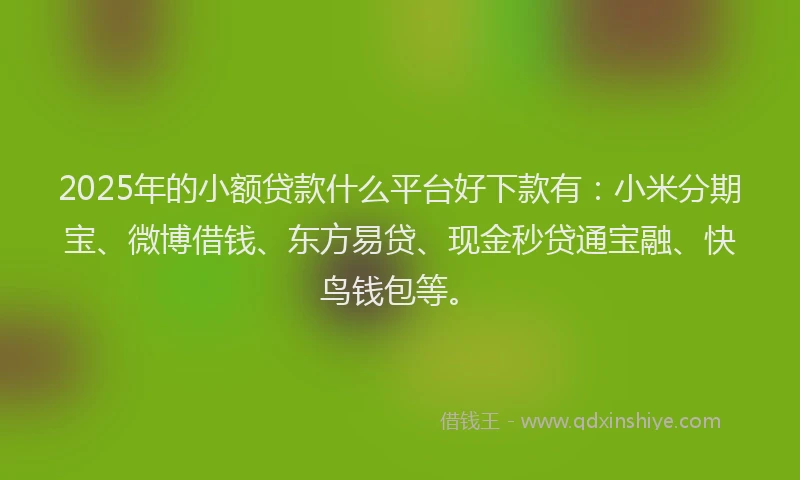 2025年的小额贷款什么平台好下款有：小米分期宝、微博借钱、东方易贷、现金秒贷通宝融、快鸟钱包等。