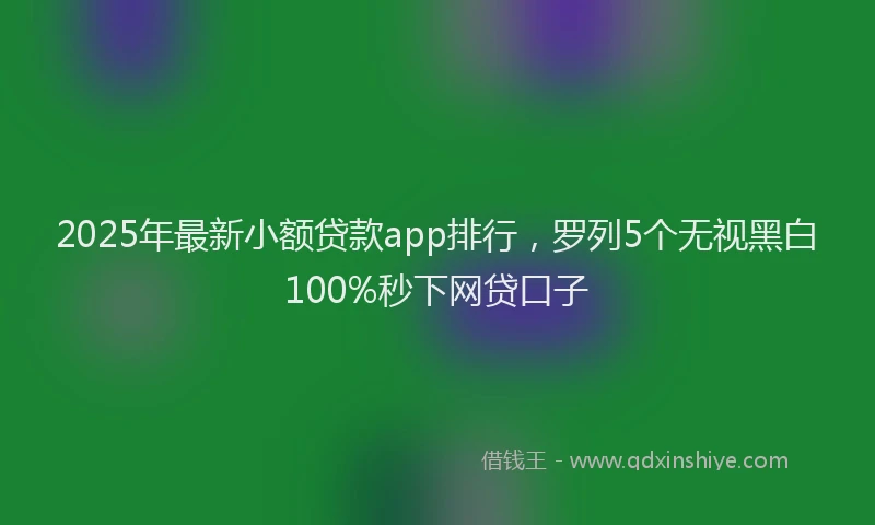 2025年最新小额贷款app排行，罗列5个无视黑白100%秒下网贷口子