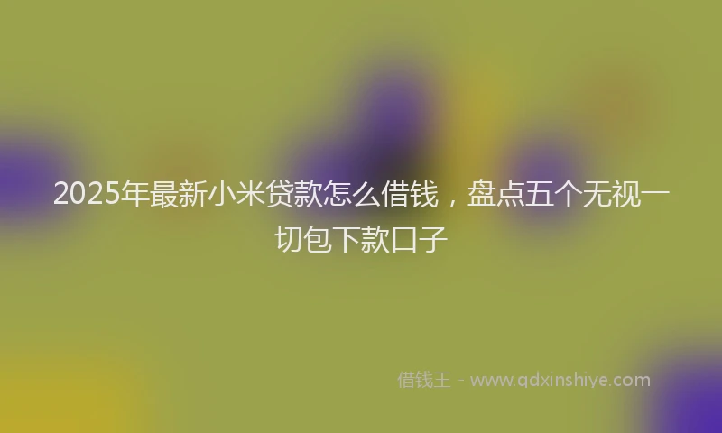 2025年最新小米贷款怎么借钱，盘点五个无视一切包下款口子
