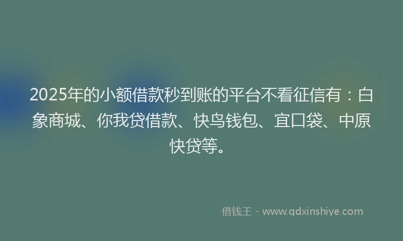 2025年的小额借款秒到账的平台不看征信有：白象商城、你我贷借款、快鸟钱包、宜口袋、中原快贷等。
