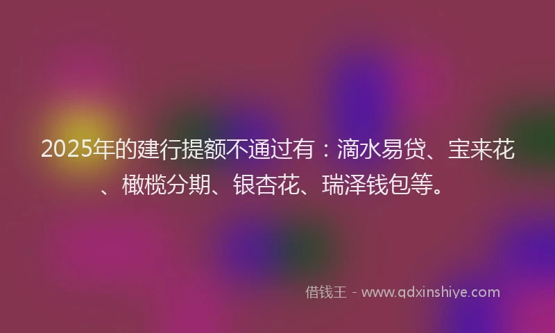2025年的建行提额不通过有：滴水易贷、宝来花、橄榄分期、银杏花、瑞泽钱包等。