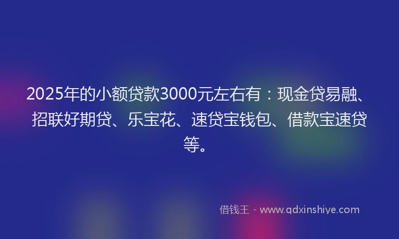 2025年的小额贷款3000元左右有：现金贷易融、招联好期贷、乐宝花、速贷宝钱包、借款宝速贷等。