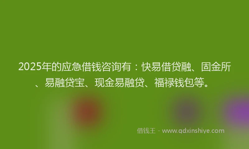 2025年的应急借钱咨询有：快易借贷融、固金所、易融贷宝、现金易融贷、福禄钱包等。