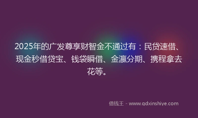 2025年的广发尊享财智金不通过有：民贷速借、现金秒借贷宝、钱袋瞬借、金瀛分期、携程拿去花等。
