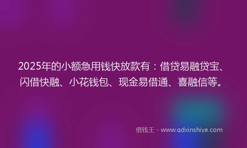 2025年的小额急用钱快放款有：借贷易融贷宝、闪借快融、小花钱包、现金易借通、喜融信等。