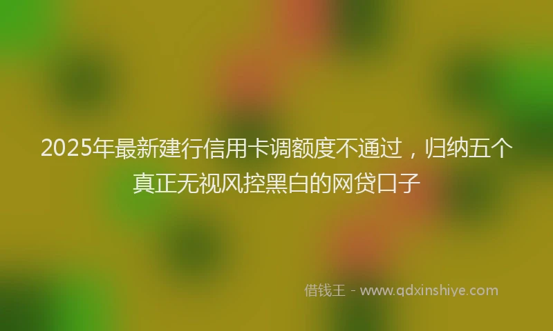 2025年最新建行信用卡调额度不通过，归纳五个真正无视风控黑白的网贷口子
