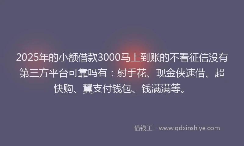 2025年的小额借款3000马上到账的不看征信没有第三方平台可靠吗有：射手花、现金侠速借、超快购、翼支付钱包、钱满满等。
