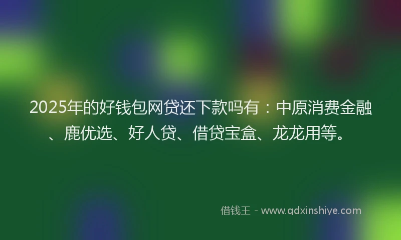 2025年的好钱包网贷还下款吗有：中原消费金融、鹿优选、好人贷、借贷宝盒、龙龙用等。
