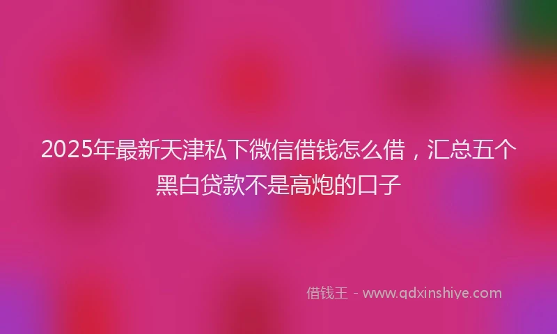 2025年最新天津私下微信借钱怎么借，汇总五个黑白贷款不是高炮的口子