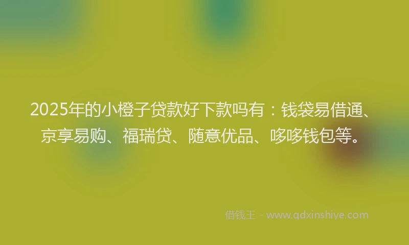 2025年的小橙子贷款好下款吗有：钱袋易借通、京享易购、福瑞贷、随意优品、哆哆钱包等。