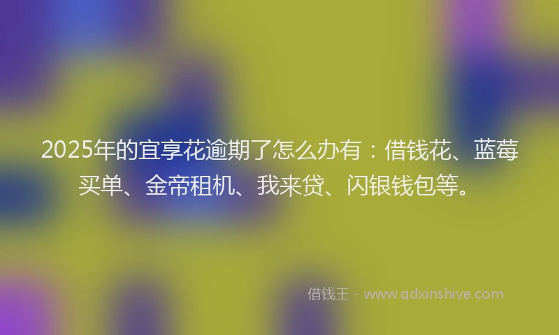 2025年的宜享花逾期了怎么办有：借钱花、蓝莓买单、金帝租机、我来贷、闪银钱包等。