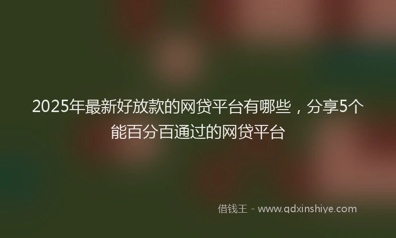 2025年最新好放款的网贷平台有哪些，分享5个能百分百通过的网贷平台