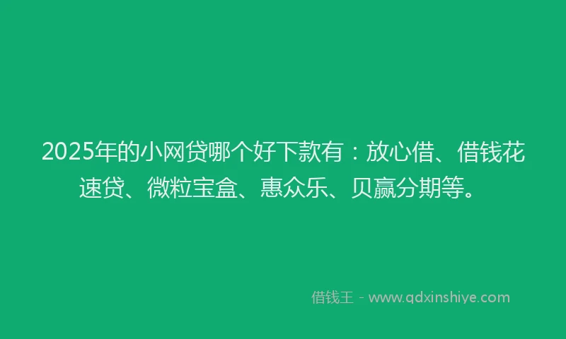 2025年的小网贷哪个好下款有：放心借、借钱花速贷、微粒宝盒、惠众乐、贝赢分期等。