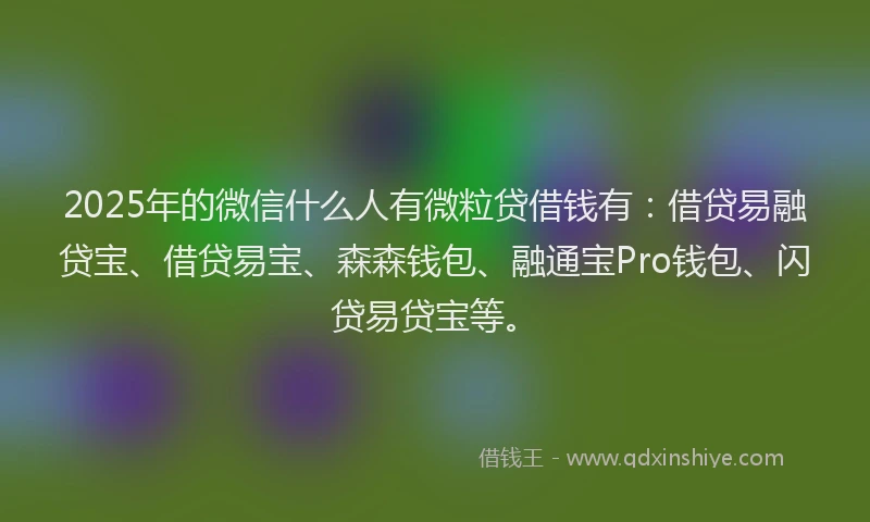 2025年的微信什么人有微粒贷借钱有：借贷易融贷宝、借贷易宝、森森钱包、融通宝Pro钱包、闪贷易贷宝等。