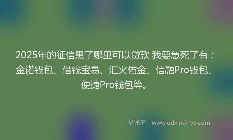 2025年的征信黑了哪里可以贷款 我要急死了有：金诺钱包、借钱宝易、汇火佑金、信融Pro钱包、便捷Pro钱包等。