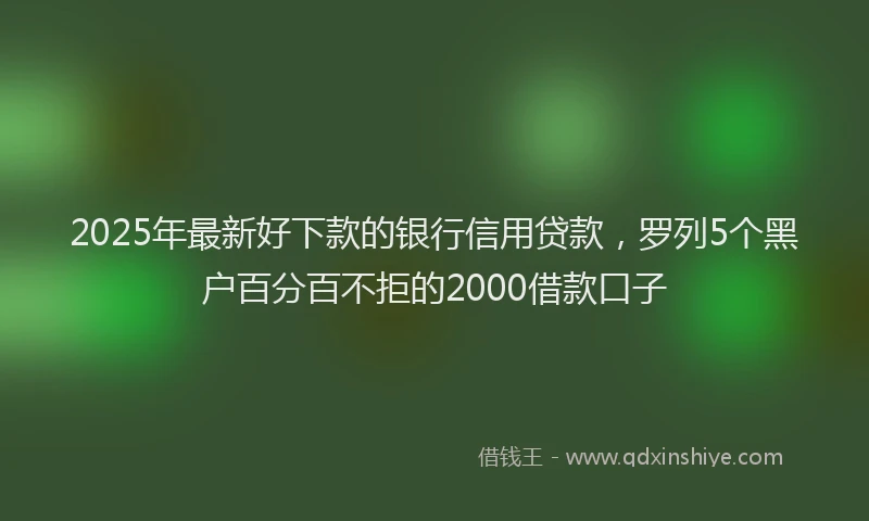 2025年最新好下款的银行信用贷款，罗列5个黑户百分百不拒的2000借款口子