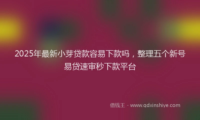 2025年最新小芽贷款容易下款吗，整理五个新号易贷速审秒下款平台