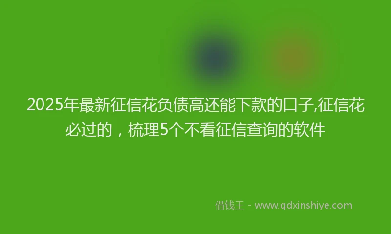 2025年最新征信花负债高还能下款的口子,征信花必过的，梳理5个不看征信查询的软件