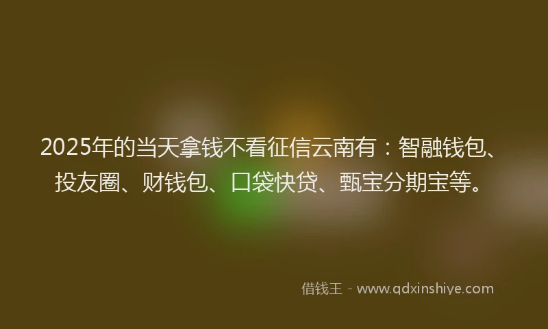 2025年的当天拿钱不看征信云南有：智融钱包、投友圈、财钱包、口袋快贷、甄宝分期宝等。