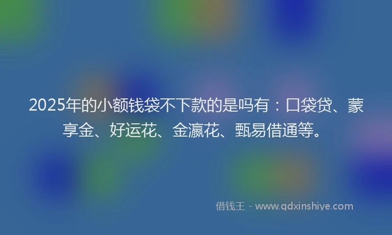 2025年的小额钱袋不下款的是吗有：口袋贷、蒙享金、好运花、金瀛花、甄易借通等。