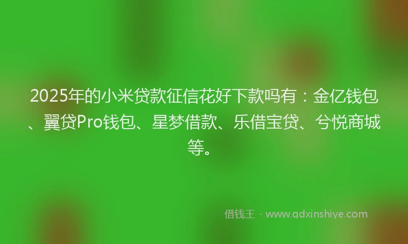 2025年的小米贷款征信花好下款吗有：金亿钱包、翼贷Pro钱包、星梦借款、乐借宝贷、兮悦商城等。
