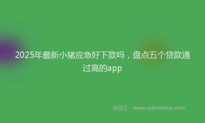 2025年最新小猪应急好下款吗，盘点五个贷款通过高的app