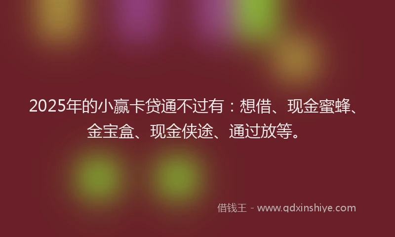 2025年的小赢卡贷通不过有：想借、现金蜜蜂、金宝盒、现金侠途、通过放等。