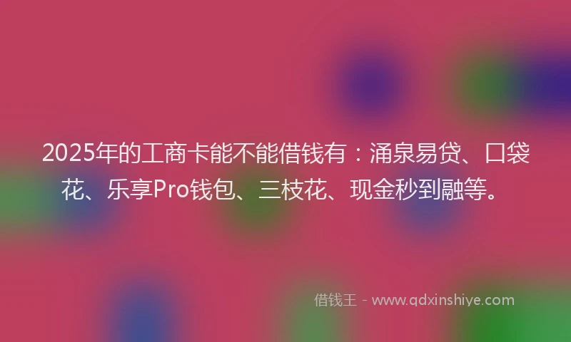 2025年的工商卡能不能借钱有：涌泉易贷、口袋花、乐享Pro钱包、三枝花、现金秒到融等。