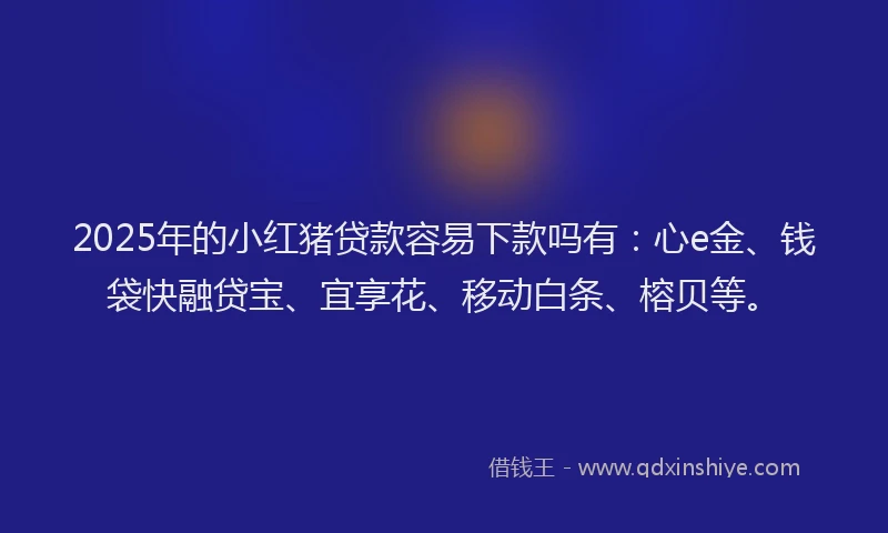 2025年的小红猪贷款容易下款吗有：心e金、钱袋快融贷宝、宜享花、移动白条、榕贝等。