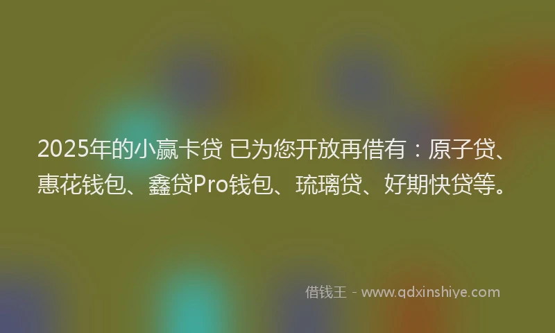 2025年的小赢卡贷 已为您开放再借有：原子贷、惠花钱包、鑫贷Pro钱包、琉璃贷、好期快贷等。