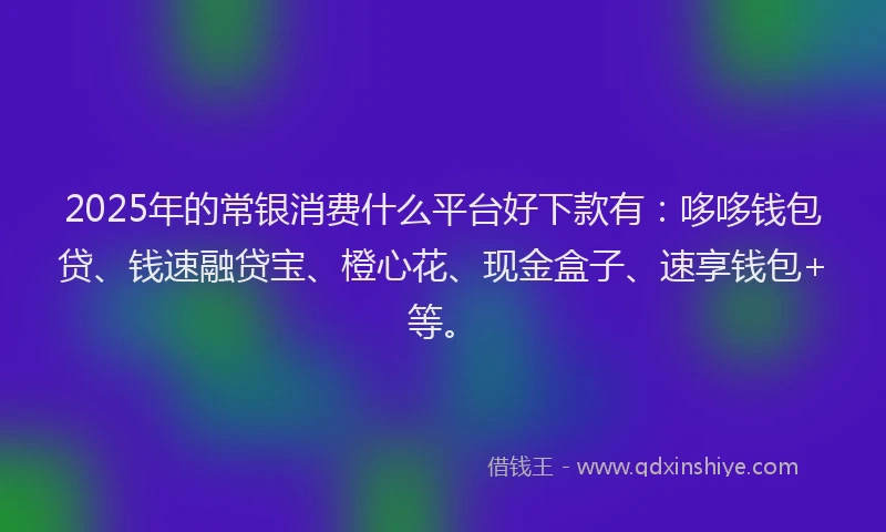 2025年的常银消费什么平台好下款有：哆哆钱包贷、钱速融贷宝、橙心花、现金盒子、速享钱包+等。