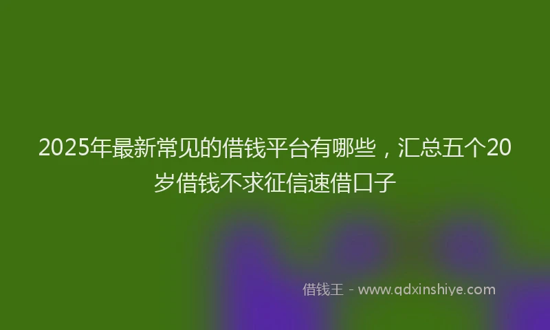 2025年最新常见的借钱平台有哪些，汇总五个20岁借钱不求征信速借口子