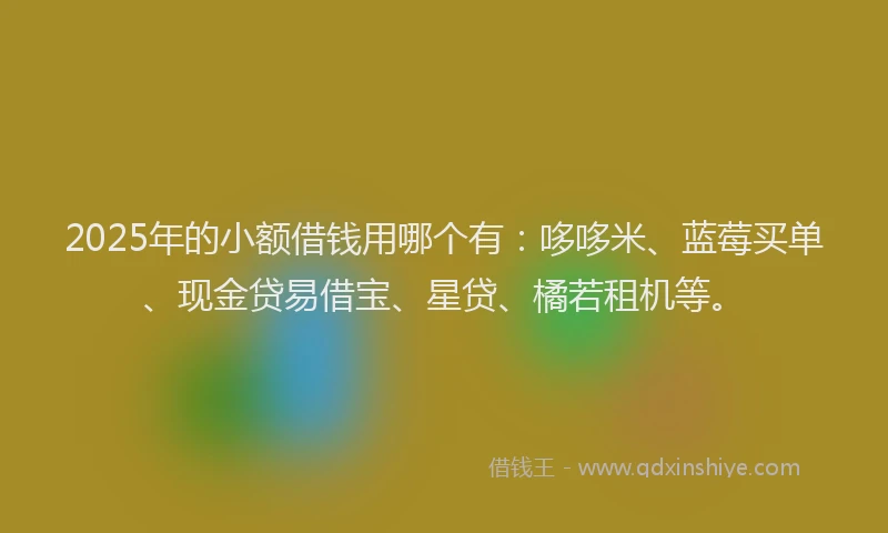 2025年的小额借钱用哪个有：哆哆米、蓝莓买单、现金贷易借宝、星贷、橘若租机等。