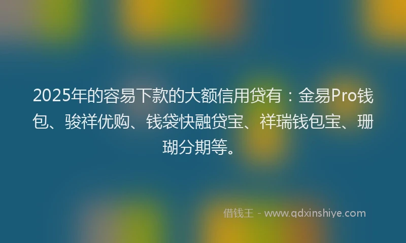 2025年的容易下款的大额信用贷有：金易Pro钱包、骏祥优购、钱袋快融贷宝、祥瑞钱包宝、珊瑚分期等。