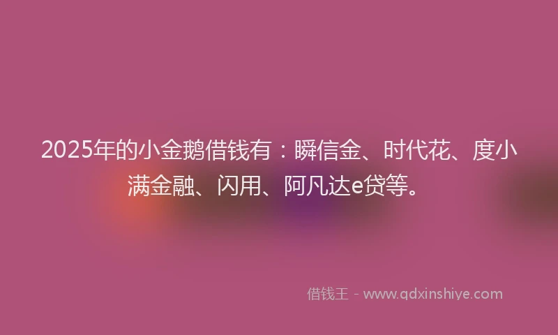 2025年的小金鹅借钱有：瞬信金、时代花、度小满金融、闪用、阿凡达e贷等。