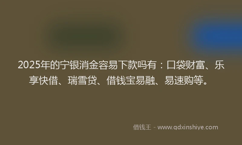 2025年的宁银消金容易下款吗有：口袋财富、乐享快借、瑞雪贷、借钱宝易融、易速购等。