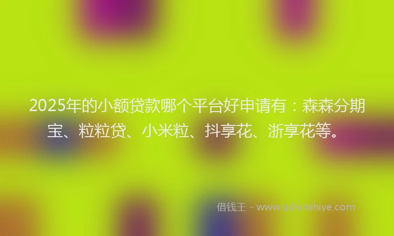 2025年的小额贷款哪个平台好申请有：森森分期宝、粒粒贷、小米粒、抖享花、浙享花等。
