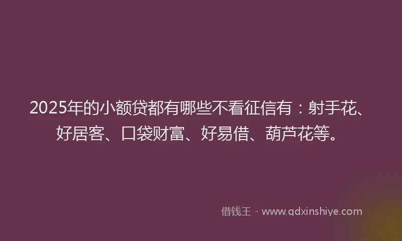 2025年的小额贷都有哪些不看征信有：射手花、好居客、口袋财富、好易借、葫芦花等。